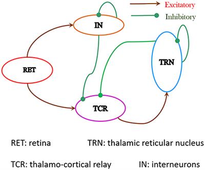 A Spiking Neural Network Model of the Lateral Geniculate Nucleus on the SpiNNaker Machine